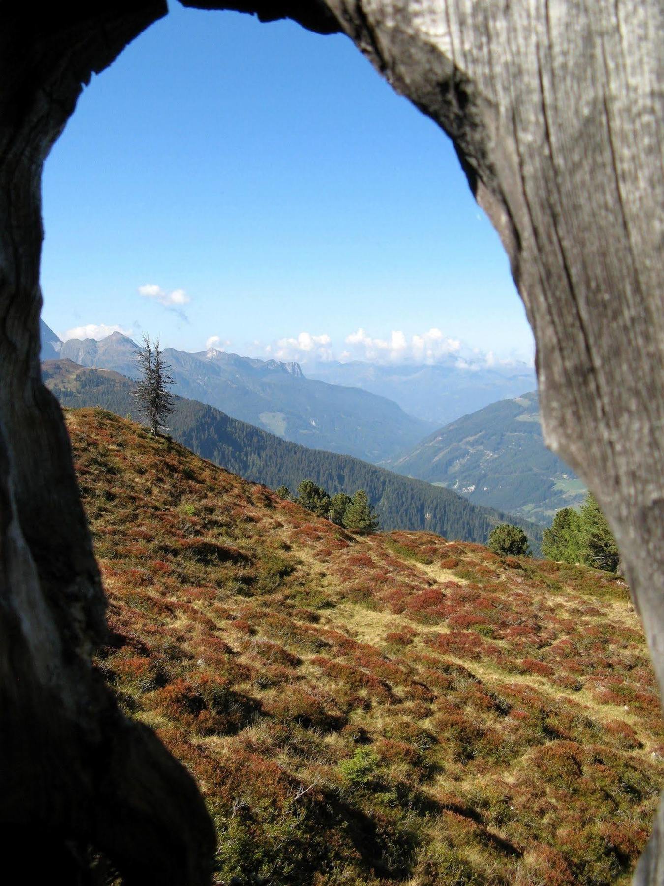 Hotel Alpenherz Garni 4*