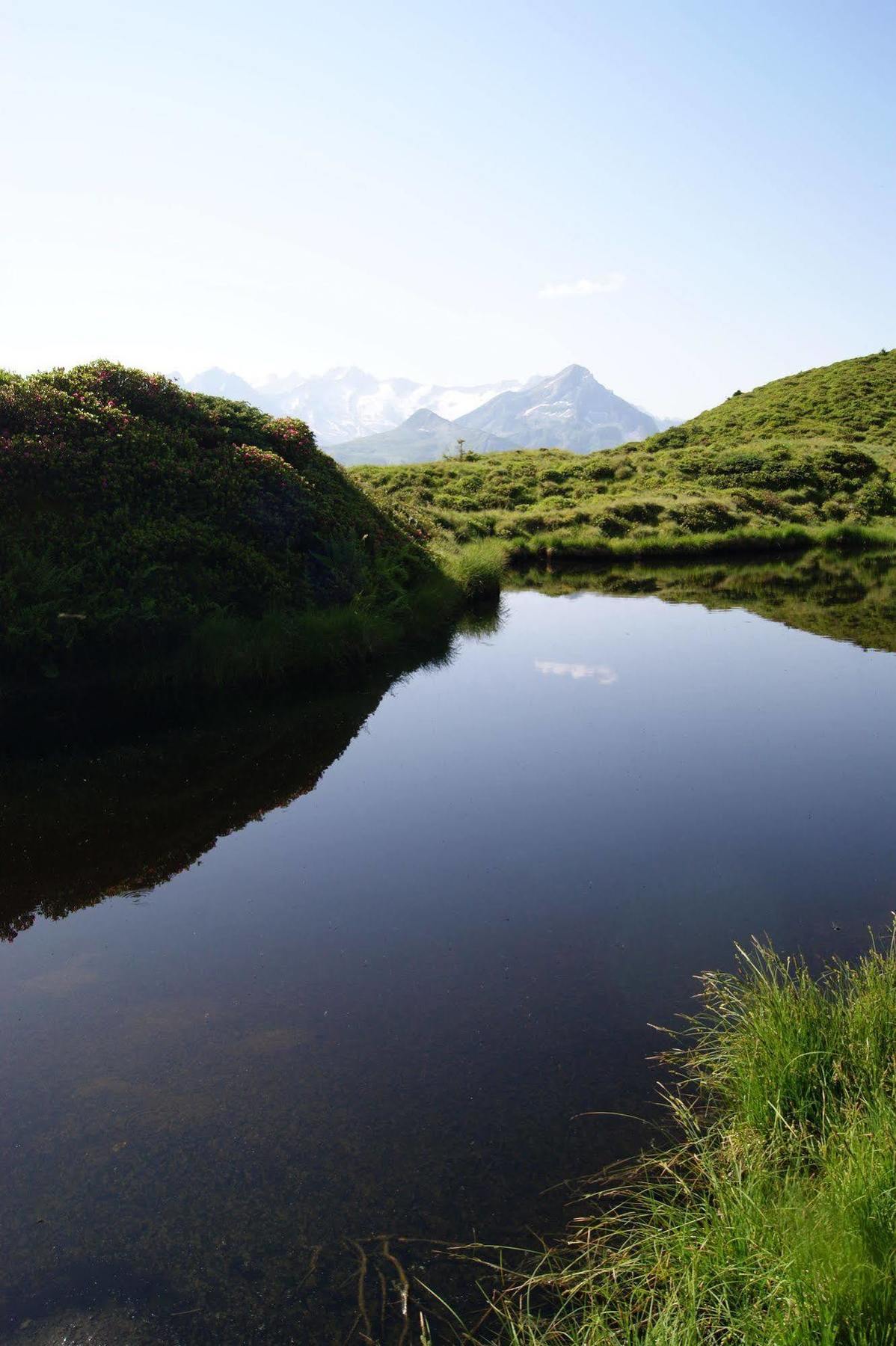 Alpenherz Garni